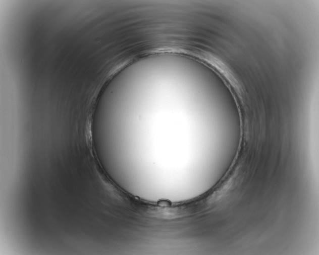 X0000089751241200706210917
