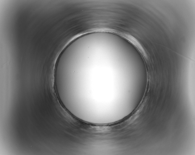 X0000089751244200706210917