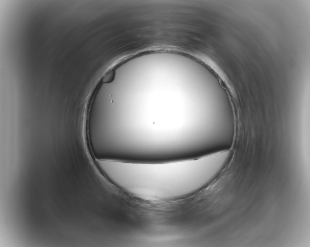 X0000089751245200706210917