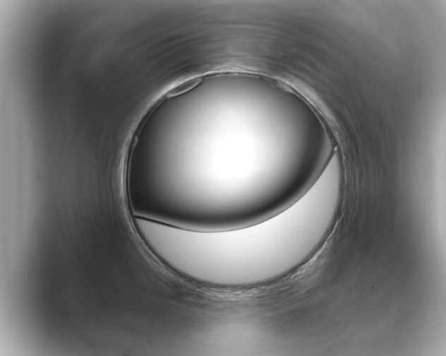 X0000089751246200706210917