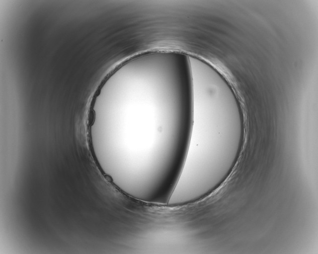 X0000089751248200706210917