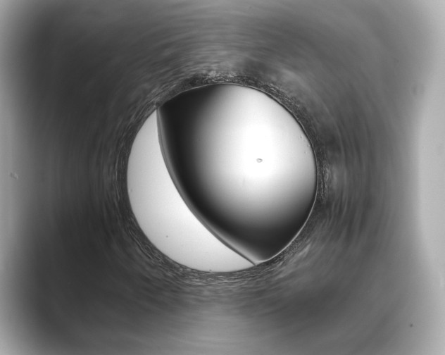 X0000089751250200706210917