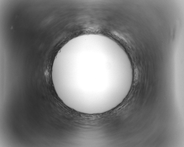 X0000089751254200706210917