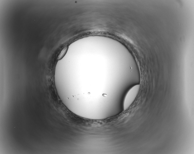 X0000089751255200706210917
