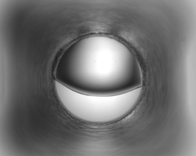 X0000089751261200706210917