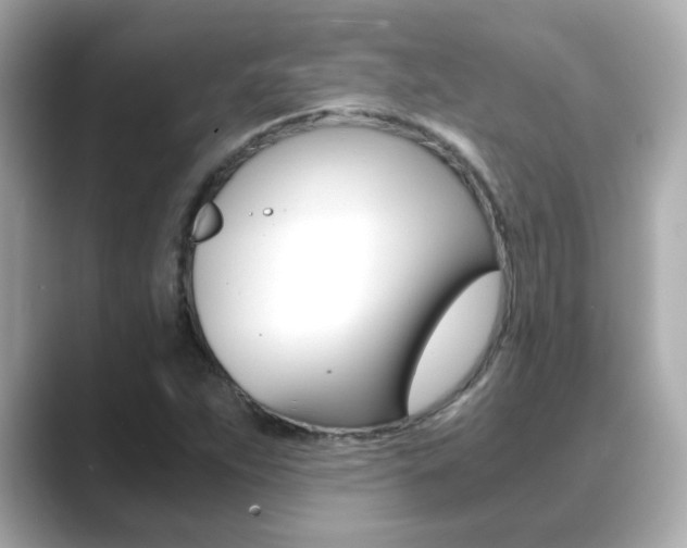 X0000089751263200706210917