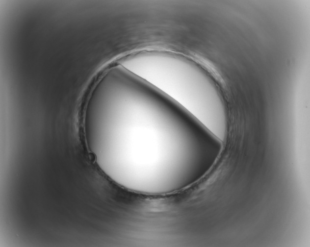 X0000089751264200706210917