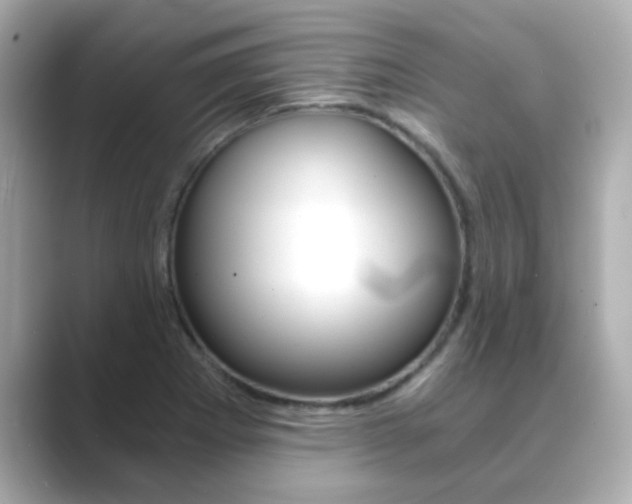 X0000089751273200706210917