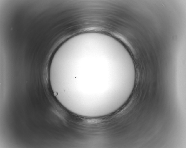 X0000089751274200706210917