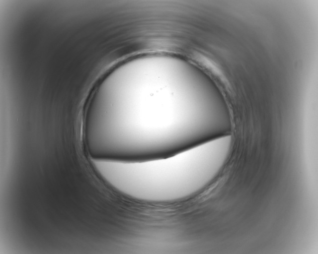 X0000089751275200706210917