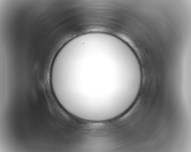 X0000089751282200706210916