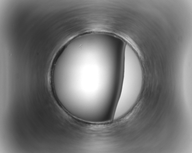 X0000089751285200706210916