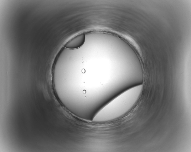 X0000089751287200706210916
