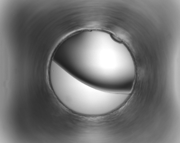 X0000089751288200706210916