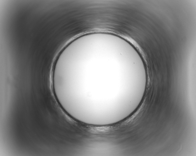 X0000089751294200706210916