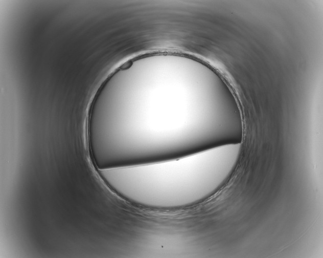 X0000089751295200706210916