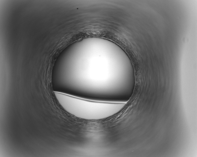 X0000089751297200706210916