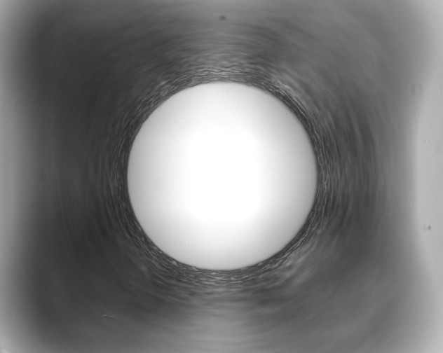 X0000089751298200706210916