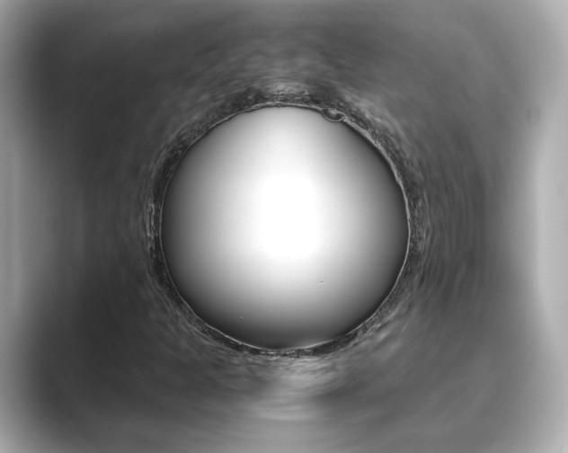 X0000089751301200706210916