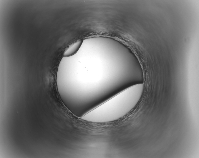 X0000089751302200706210916