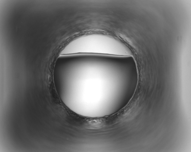 X0000089751303200706210916