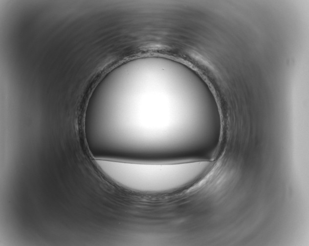 X0000089751305200706210916