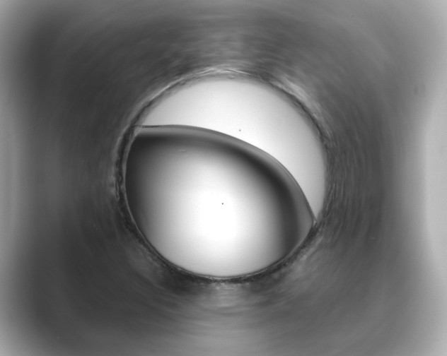 X0000089751308200706210916