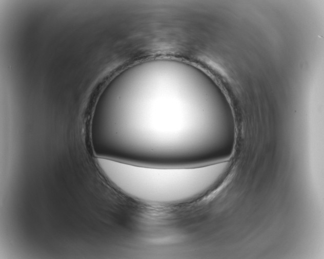 X0000089751309200706210916