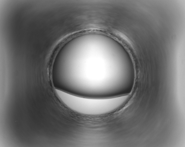 X0000089751310200706210916