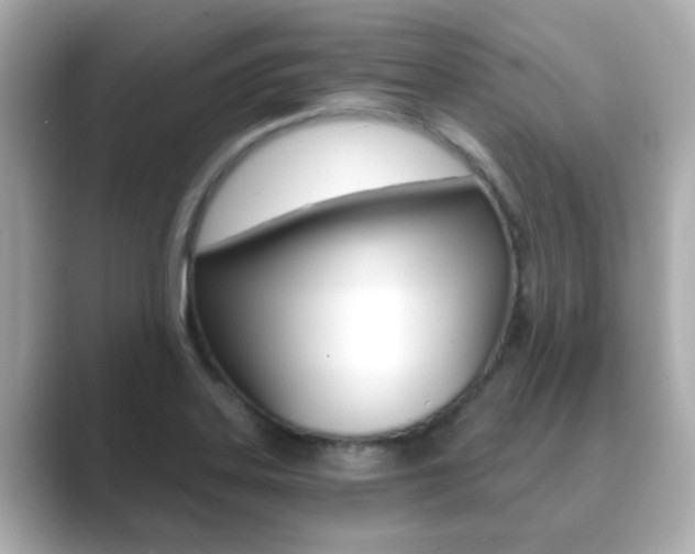 X0000089751323200706210916