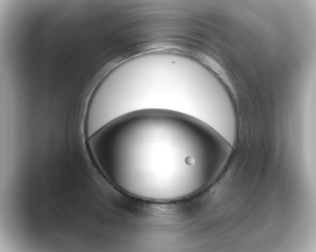 X0000089751330200706210916