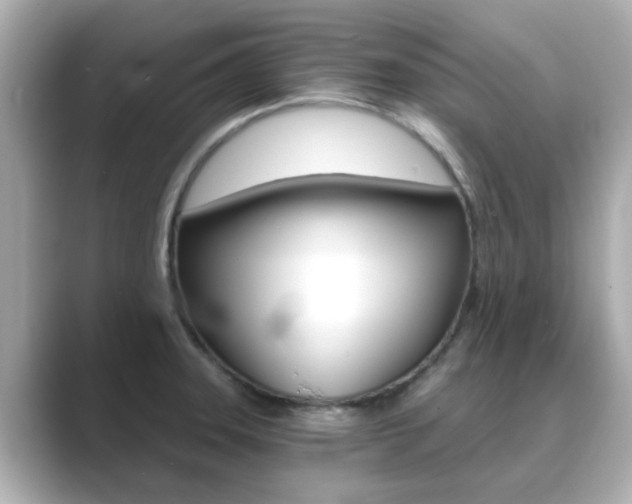 X0000089751331200706210916