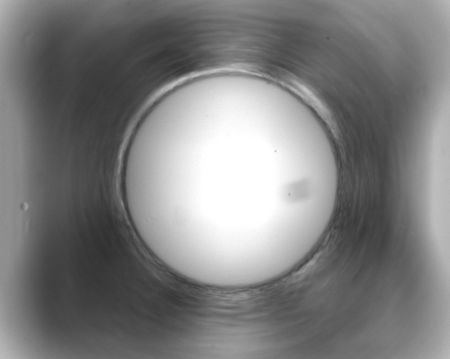 X0000089751332200706210916