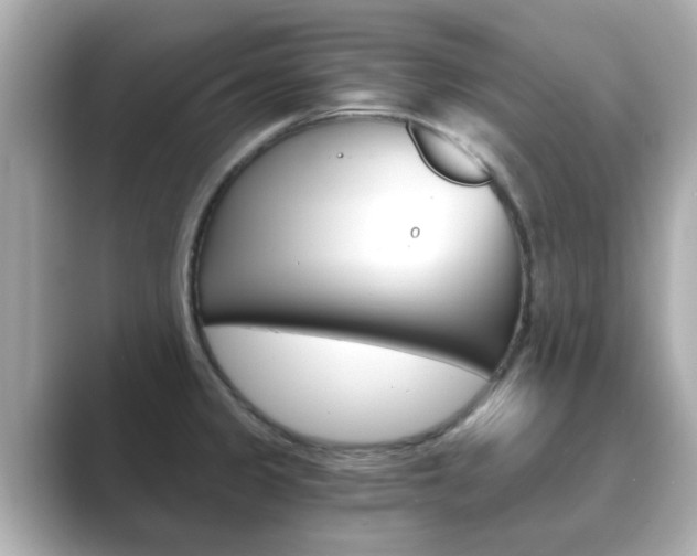 X0000089751333200706210916