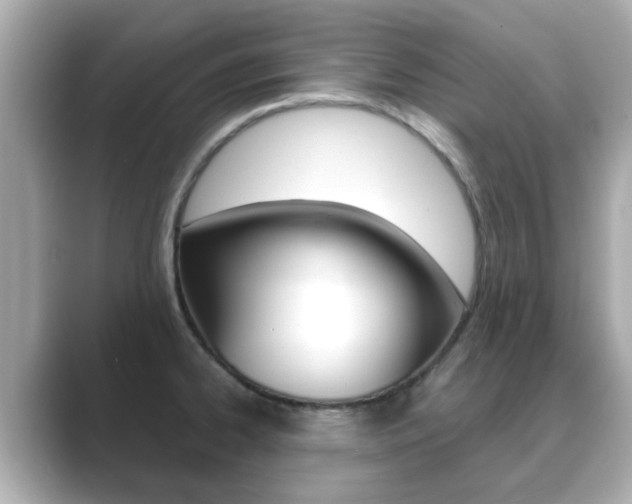 X0000089751334200706210916