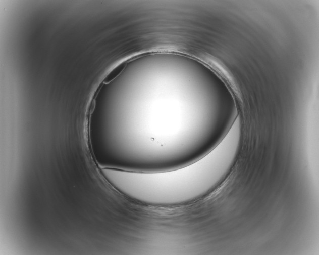 X0000089751340200706210916
