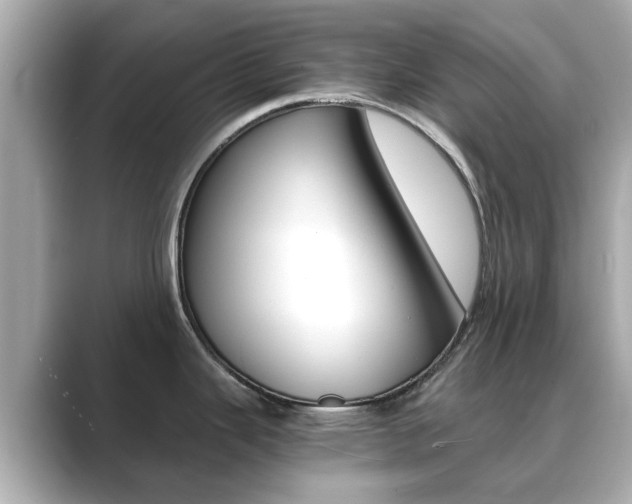 X0000089751343200706210916