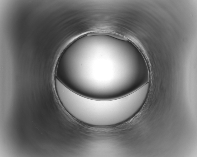 X0000089751344200706210916