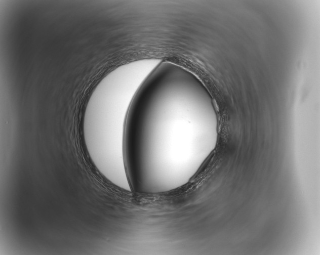 X0000089751345200706210916