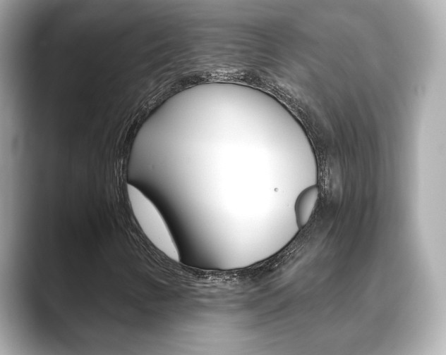 X0000089751346200706210916
