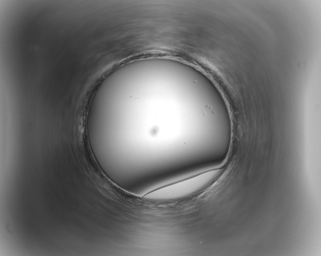 X0000089751355200706210915