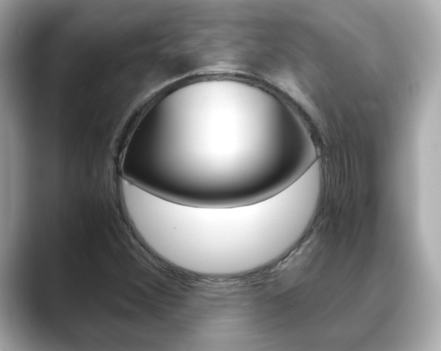 X0000089751356200706210915