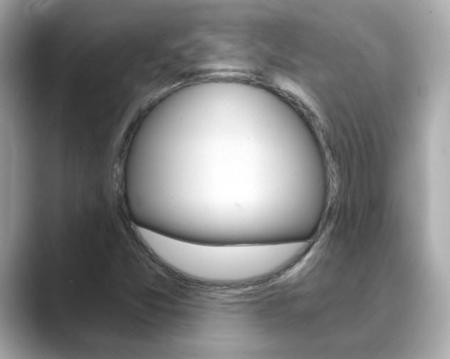 X0000089751357200706210915