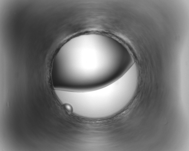 X0000089751359200706210915