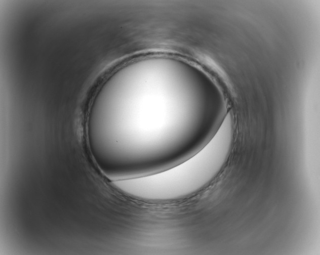 X0000089751360200706210915