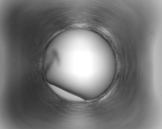X0000089751361200706210915