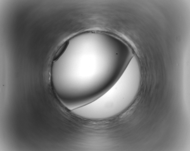 X0000089751367200706210915