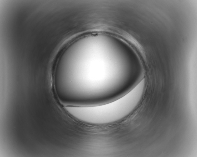 X0000089751368200706210915