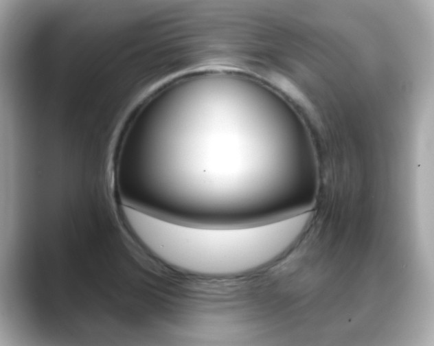 X0000089751372200706210915