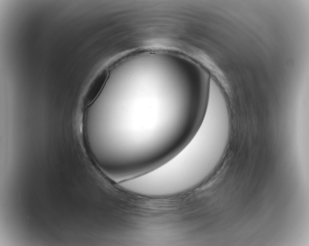 X0000089751376200706210915